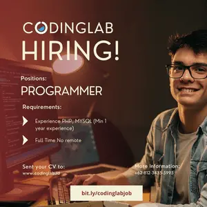 Programmer