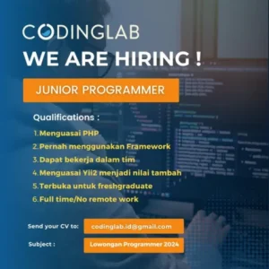 Junior Programmer 2024